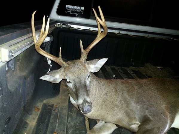 8 Point Rack.jpg