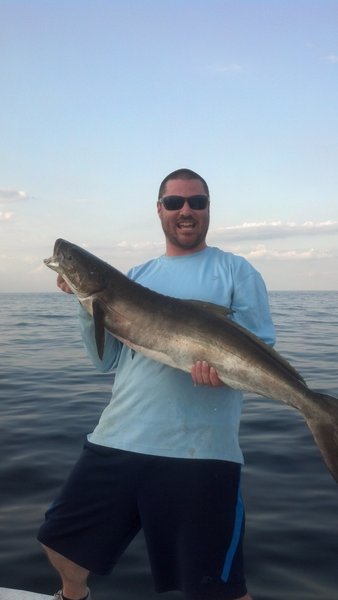 IMG_20150504_191206_874.jpg (812.33 KiB) Viewed 4916 times IMG_20150504_191206_874.jpg