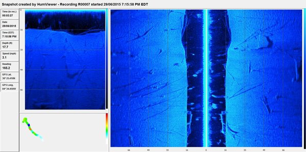 Shad and Structure.jpeg (234.98 KiB) Viewed 8211 times Trees, bait, table top rock