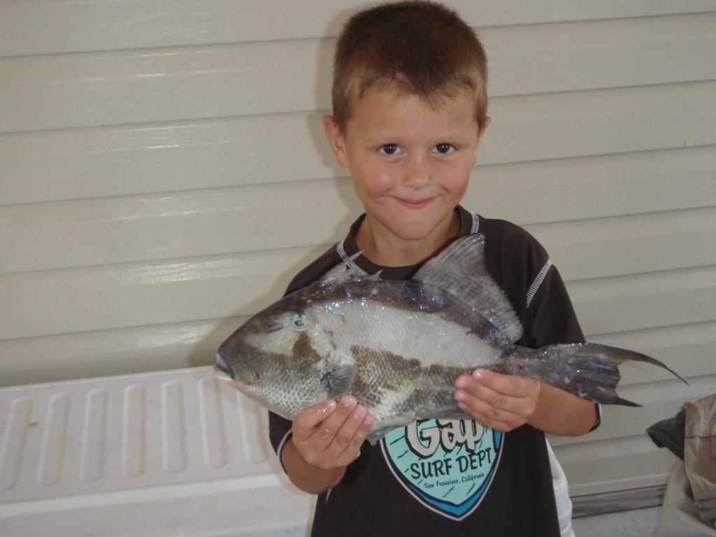 Landon's Triggerfish