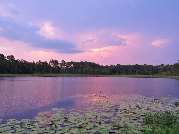Sunset.jpg