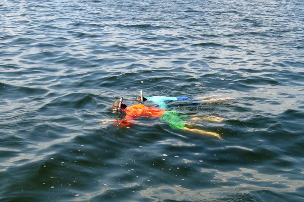 Scalloping.jpg