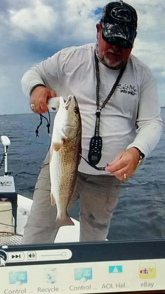 CCA tagged red moss covered 9-24-15.jpg