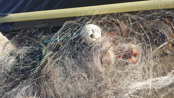 gillnet.jpg
