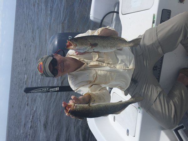 image.jpeg (1.97 MiB) Viewed 3823 times Dsr