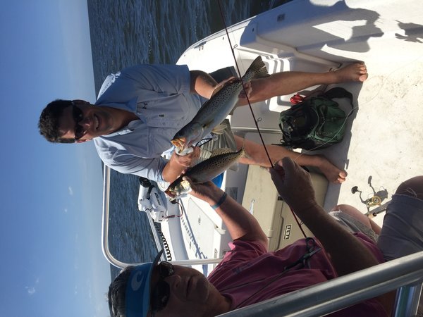 image.jpeg (1.92 MiB) Viewed 3758 times Kw jr