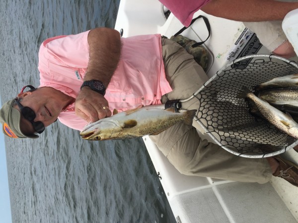 image.jpeg (2.23 MiB) Viewed 3888 times Sr