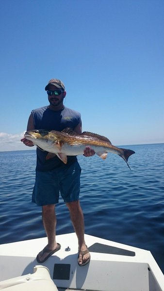 Lloyd big red 11.jpg