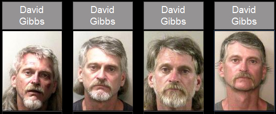 Gibbs.jpg
