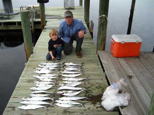 20080406_007_small.JPG