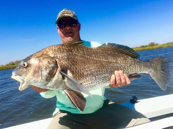 Black drum went 33 Lbs