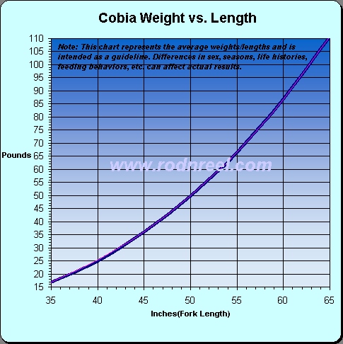 ChartCobia (2).jpg