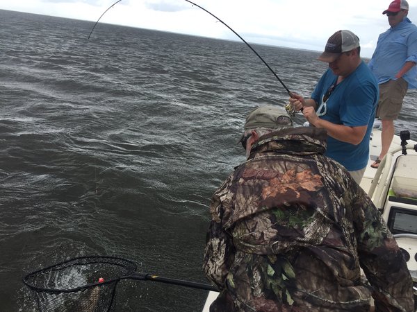 net fish.JPG