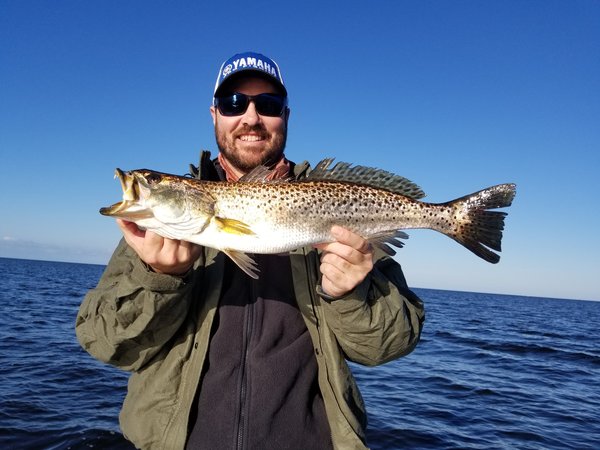 Jeff Trout 102017.jpg