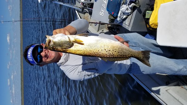 George Trout 102017.jpg