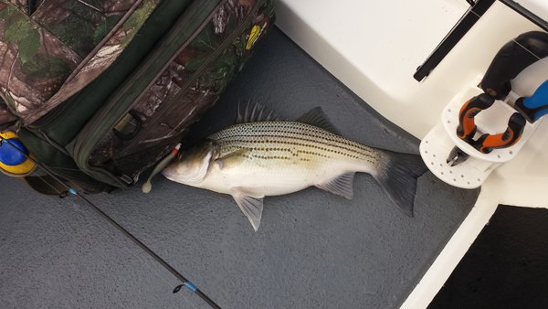 20180206_070511.jpg