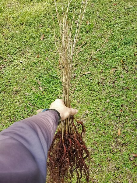 20180217_115716.jpg