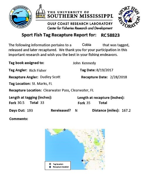 2018 Cobia Recapture.jpg