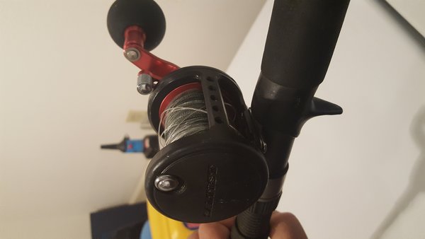 20180418_103600.jpg
