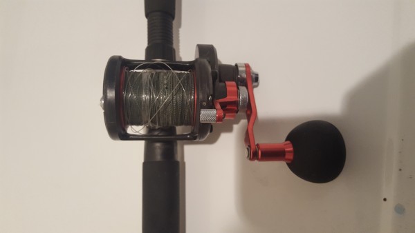 20180418_103516.jpg