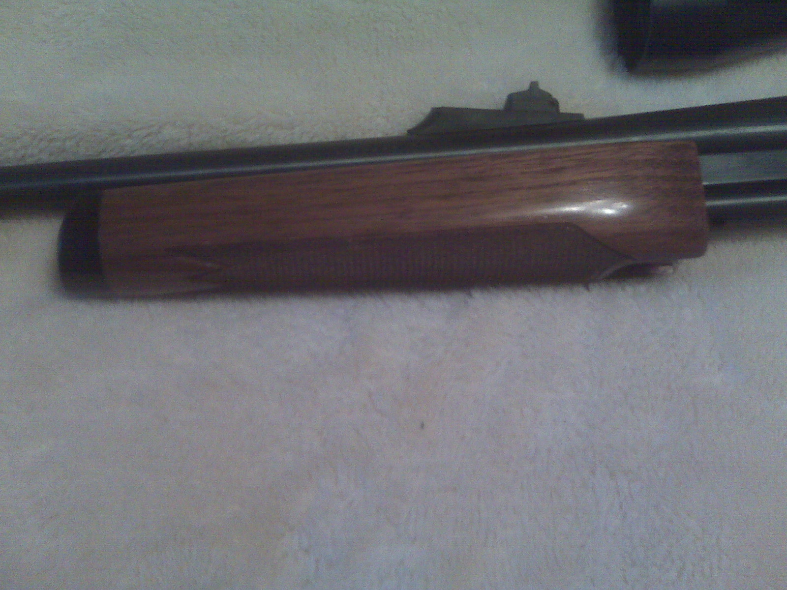 IMG00039.jpg