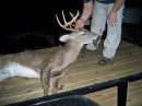 Tom non-typical 9 pt2..jpg