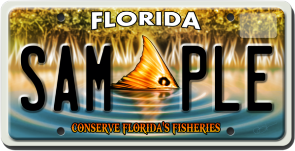 floridaredfishplate_small_4b588edd-fa51-4874-9f9e-ffde2ee03579_720x.png