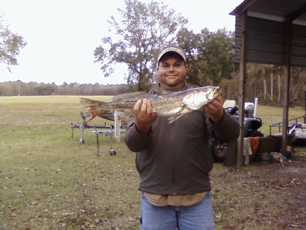 Looks like an otter or something had gotten ahold of her tail.