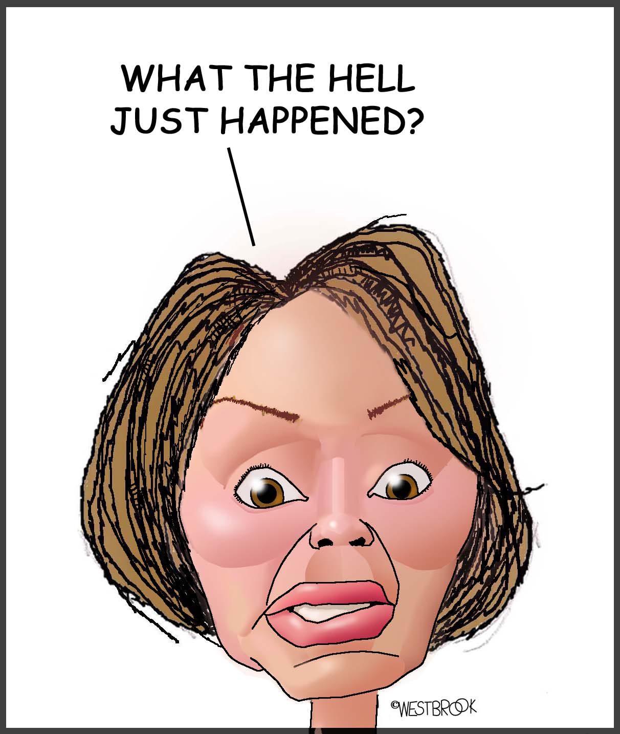 pelosi40002 copy3.jpg