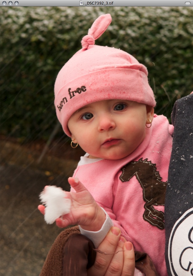 Snapshot 2010-02-13 23-02-23.jpg