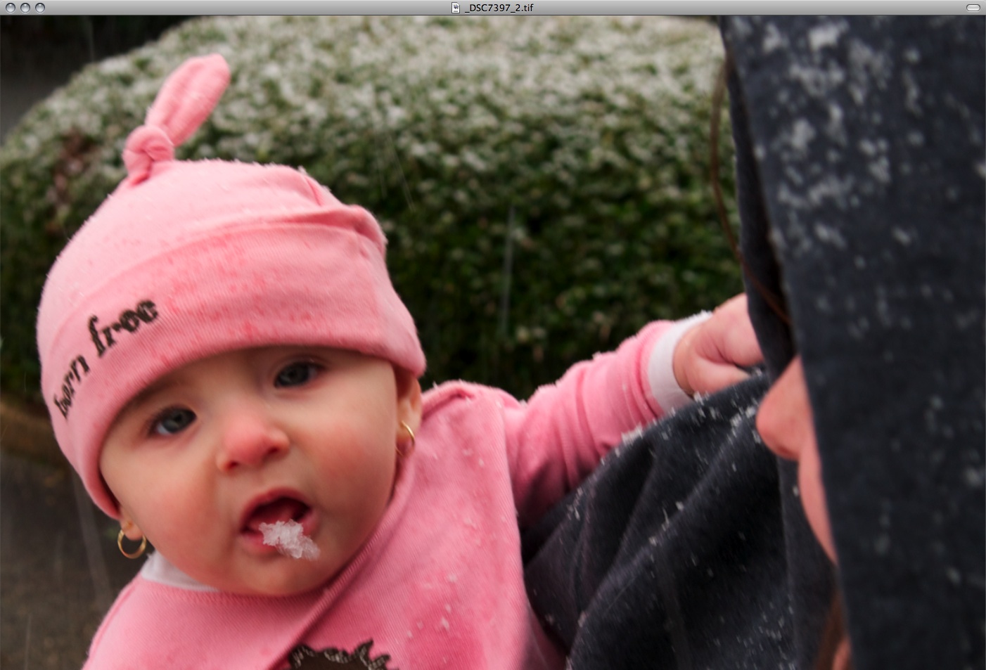 Snapshot 2010-02-13 23-08-07.jpg