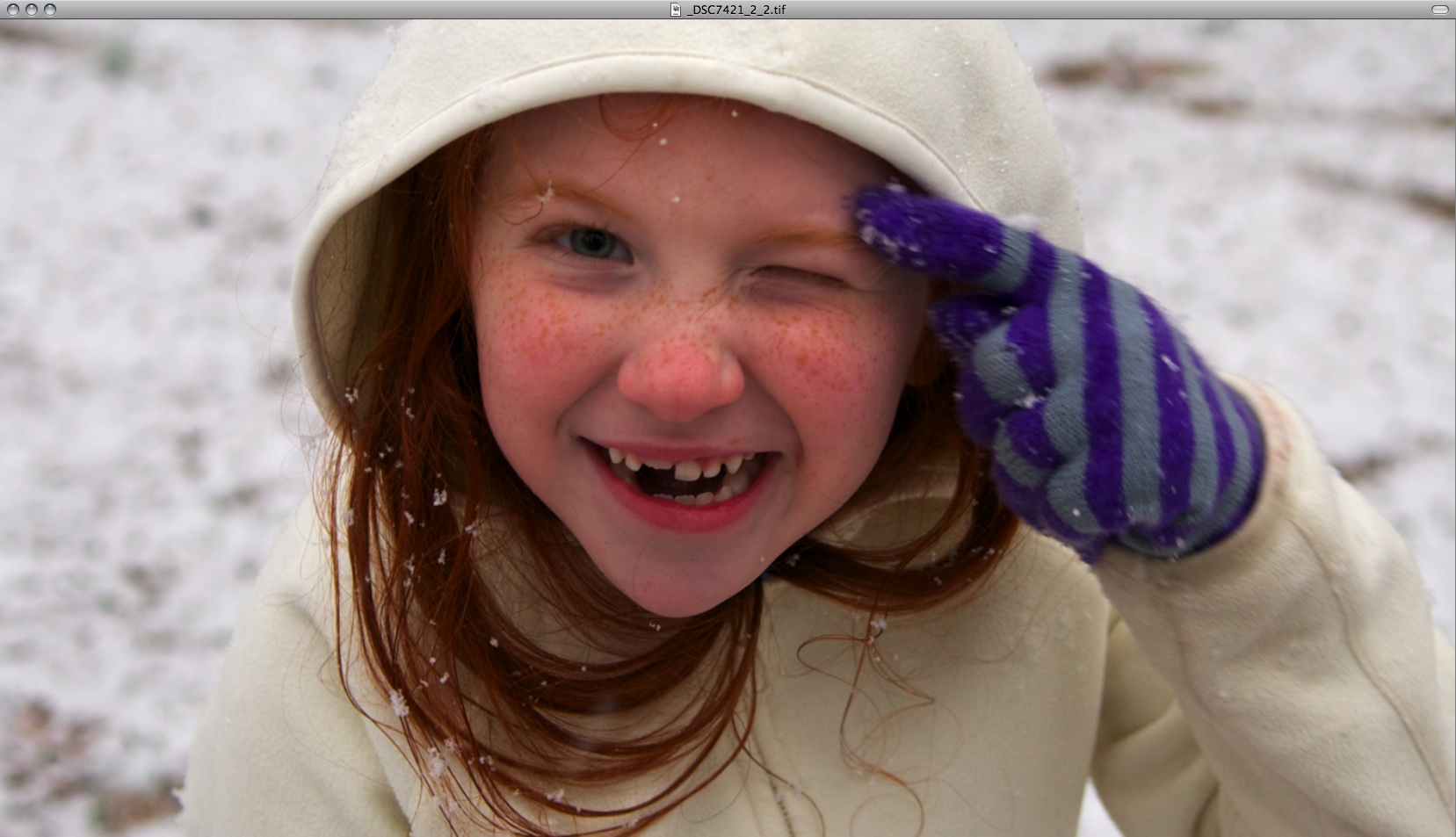 Snapshot 2010-02-13 23-04-51.jpg