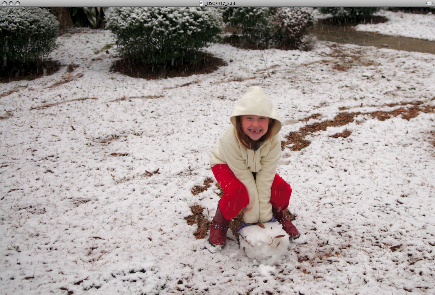 Snapshot 2010-02-13 23-06-31.jpg