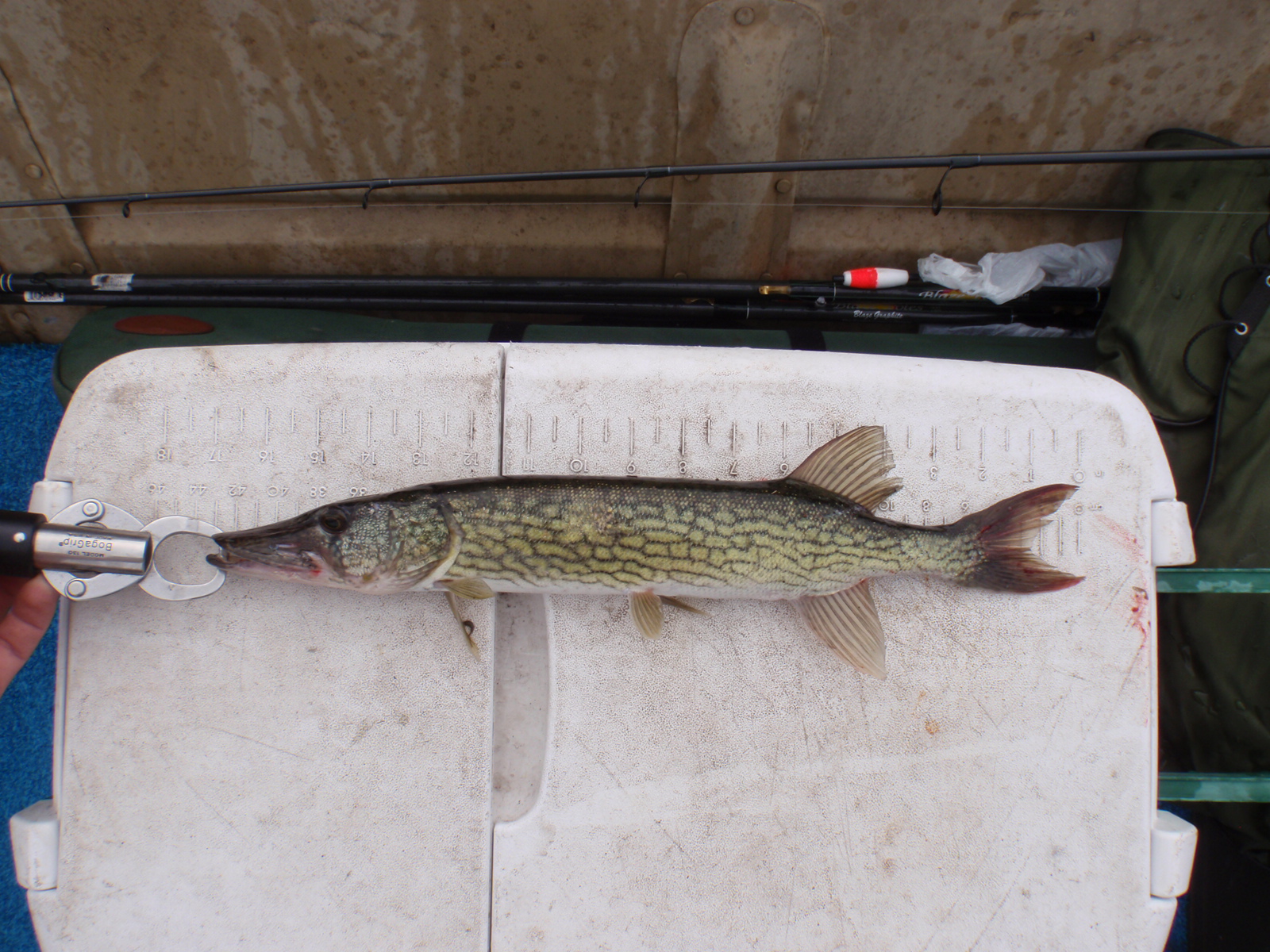 3-11-2010 023.jpg