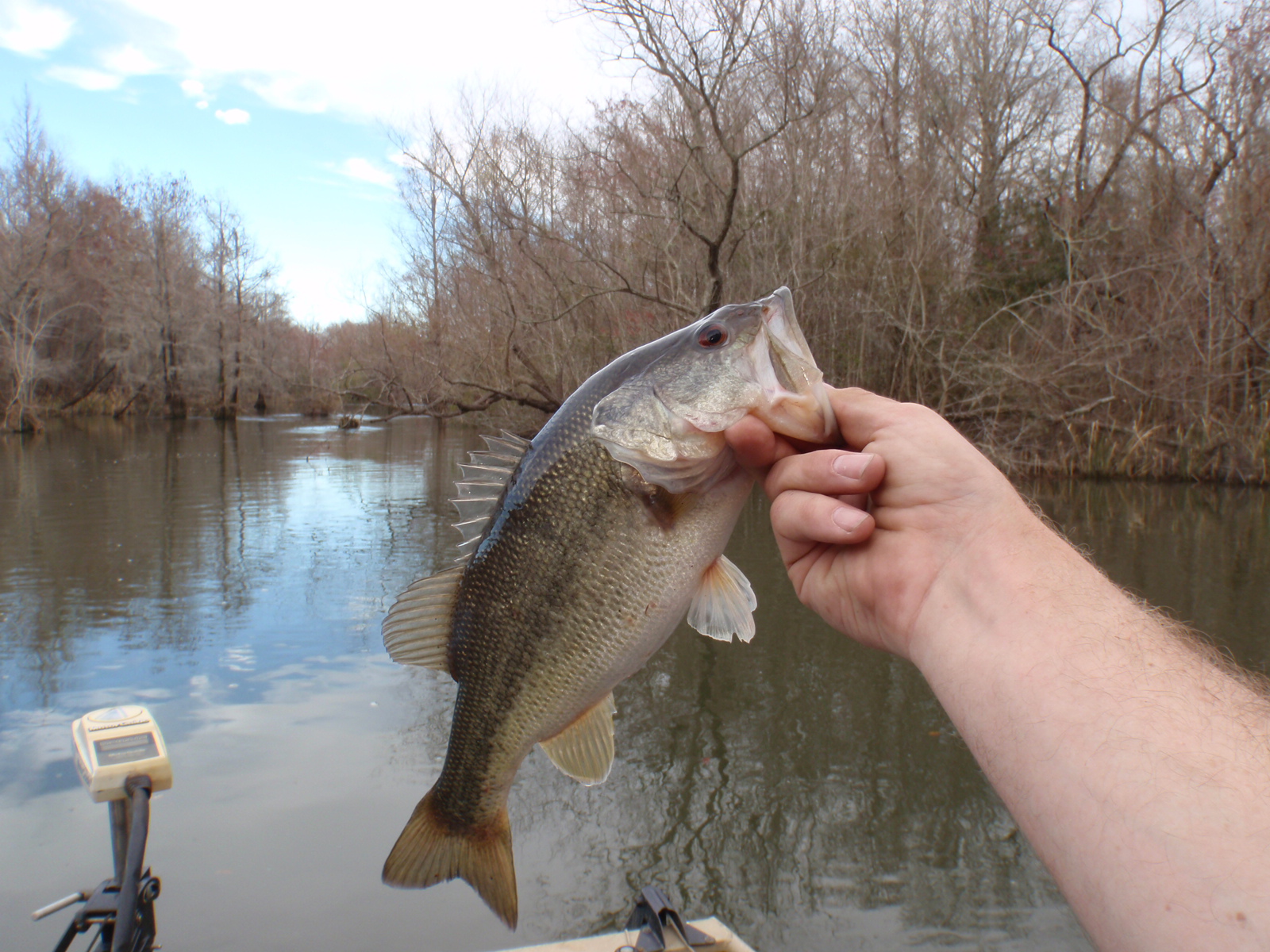 3-11-2010 021.jpg