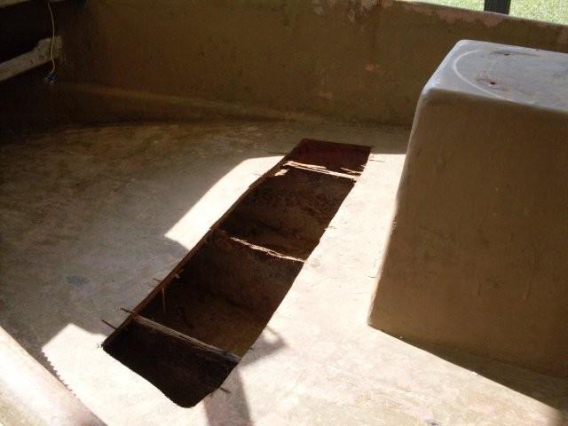015.jpg